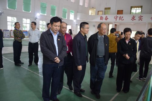 何主任一行进行现场观摩