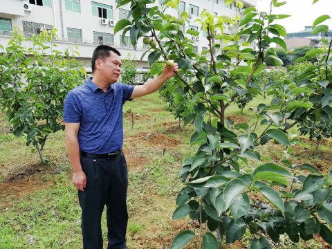 李国华：在农业科研中践
